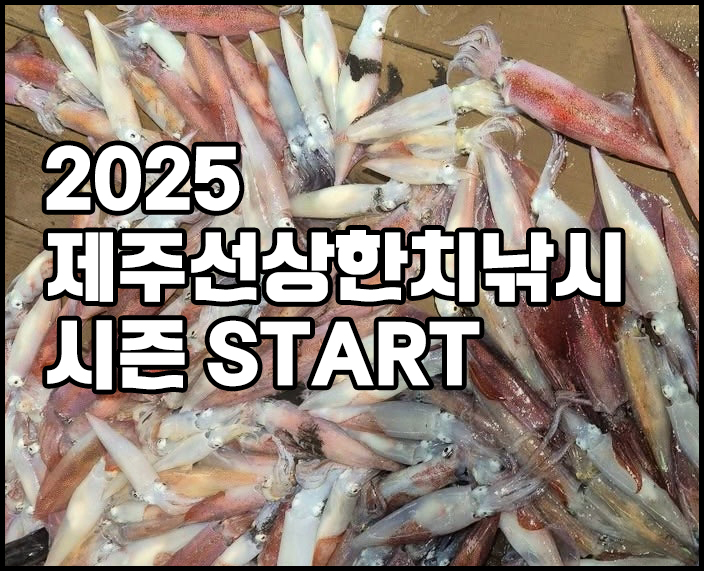 799f6a2d05028cbba65d31376d105f52_1746415077_7919.jpg 799f6a2d05028cbba65d31376d105f52_1746415077_7919.jpg