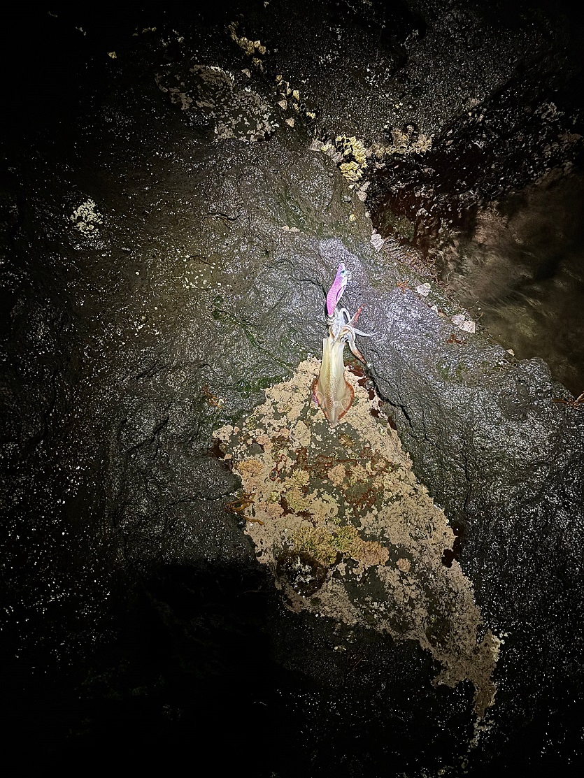 5424b3fae1741d2df63c45999bb57774_1749621597_0742.jpg 5424b3fae1741d2df63c45999bb57774_1749621597_0742.jpg
